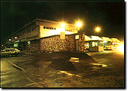 Yard lighting system